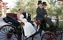 A bride and groom in a horse drawn carriage