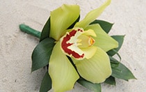 Boutonniere