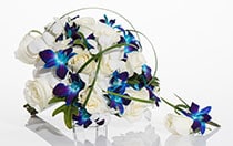 A round bridal bouquet and grooms boutonniere of roses mixed with contrasting tropical orchids