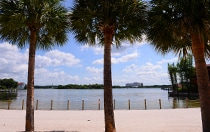 Palm trees, a sandy beach and a post and rope fence run along the edge of the Seven Seas Lagoon at Disney's Polynesian Village Resort