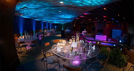 An indoor event setup with round tables, wooden chairs and decorative lighting projected on the ceiling