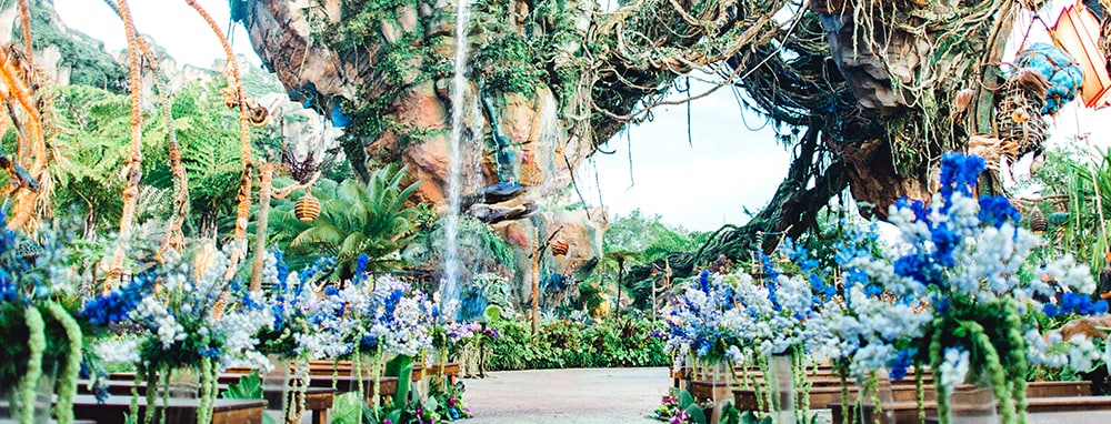 disney wedding venues