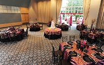 Contemporary Resort Ballrooms