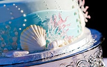 Theme Cakes