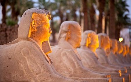 A row of Sphinx statues in front of the Luxor Temple in Egypt