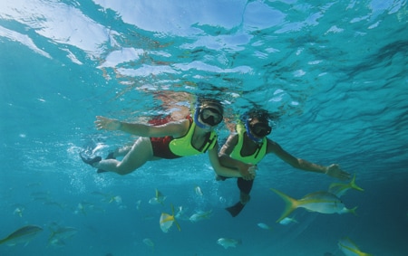A man and a woman snorkel in the Caribbean surrounded by tropical fish

