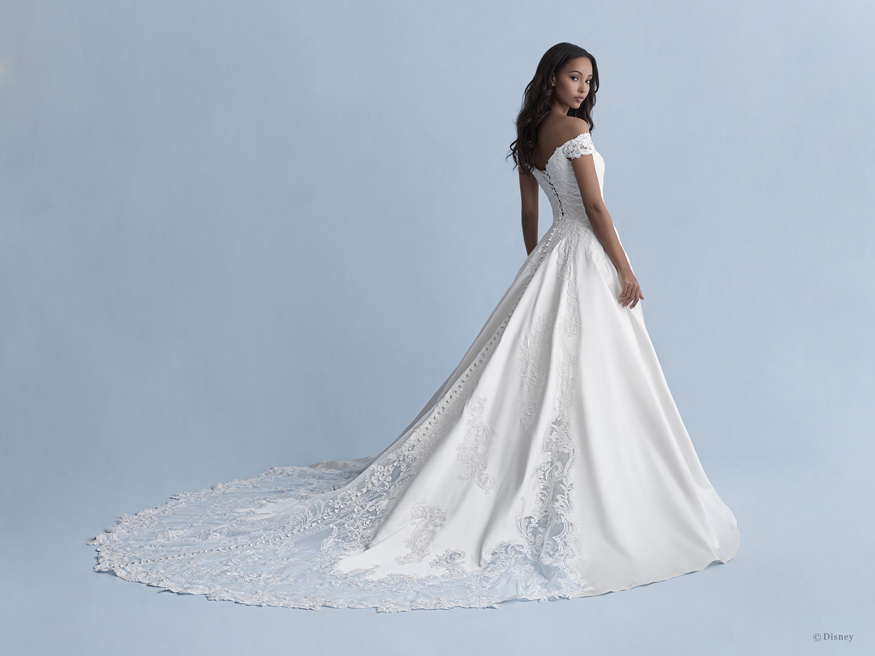 Top 176+ lace bridal gowns