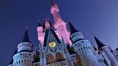 Cinderella Castle at Magic Kingdom park, illuminated at night
