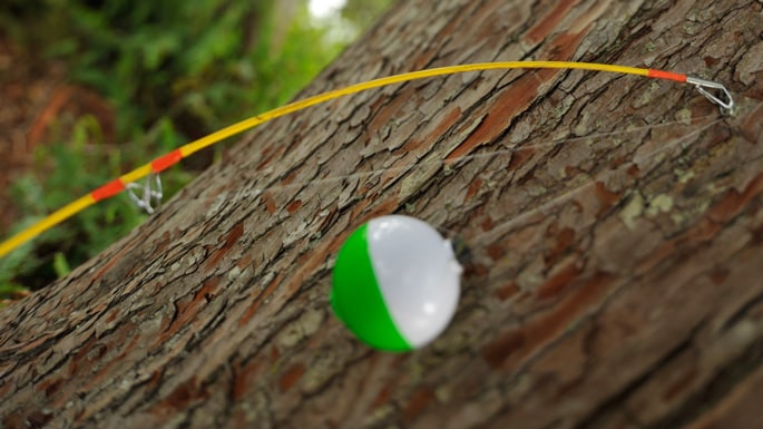 A fishing pole propped against a tree