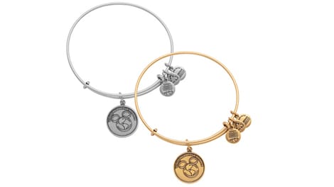 Two ALEX AND ANI bangle bracelets with Disney Vacation Club charms