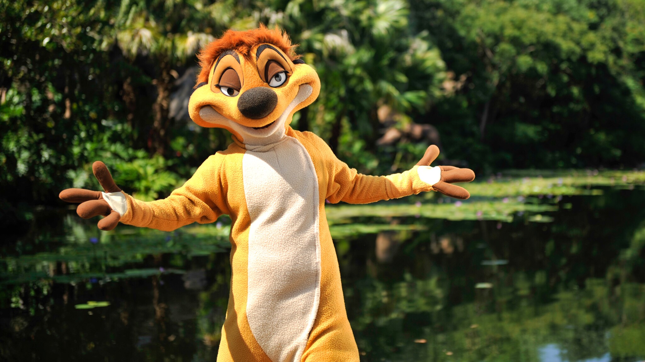Timon