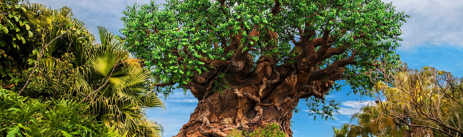 The Tree of Life at Disneys Animal Kingdom park