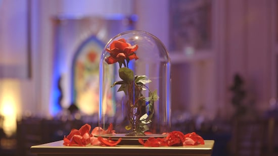 The Enchanted Rose in a bell shaped jar which appears in the movie Beauty and the Beast